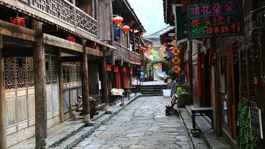 呆萌动物园